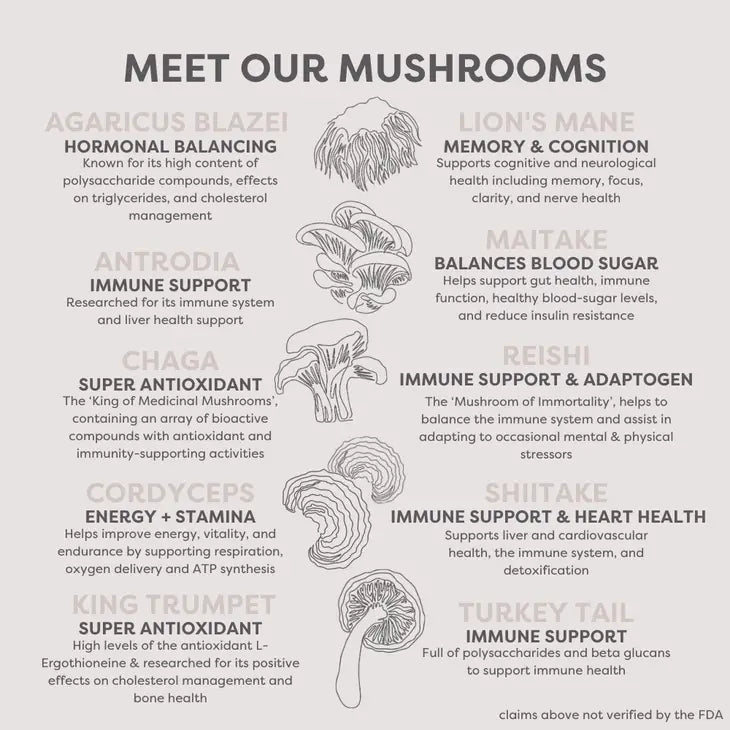 Organic 10 Mushroom Blend
